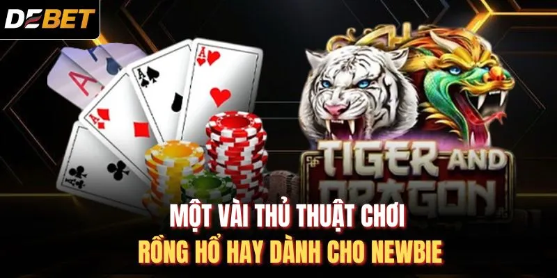 Một v&agrave;i thủ thuật chơi rồng hổ hay d&agrave;nh cho newbie