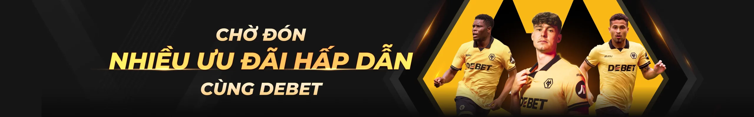 banner debet